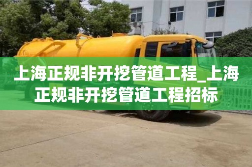 北京上海正規(guī)非開挖管道工程_上海正規(guī)非開挖管道工程招標(biāo)