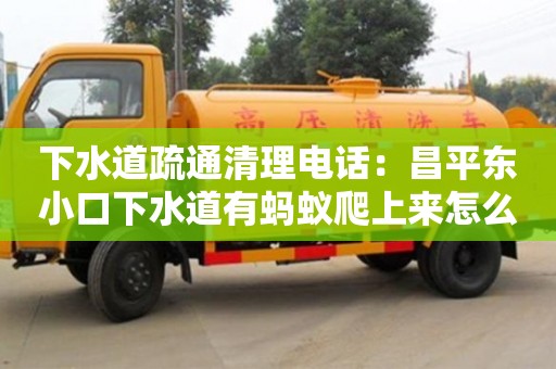 北京下水道疏通清理電話：昌平東小口下水道有螞蟻爬上來怎么處理