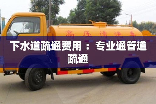 北京下水道疏通費(fèi)用 ：專業(yè)通管道疏通