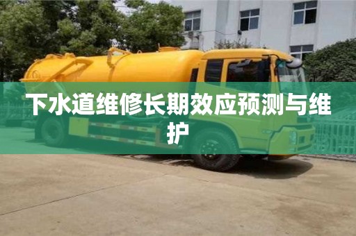 下水道維修長期效應預測與維護 下水道維修長期效應預測與維護