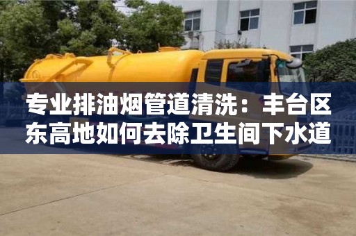 北京專業排油煙管道清洗：豐臺區東高地如何去除衛生間下水道的臭味