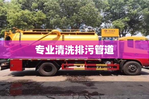 成都專業清洗排污管道