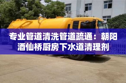 深圳專業管道清洗管道疏通：朝陽酒仙橋廚房下水道清理劑
