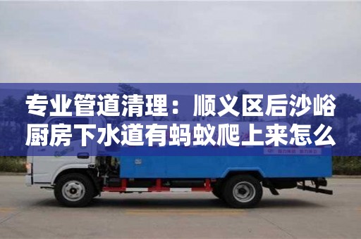 南京專業管道清理：順義區后沙峪廚房下水道有螞蟻爬上來怎么清除