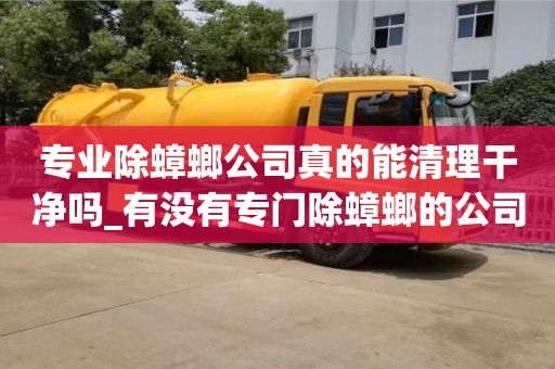 專業除蟑螂公司真的能清理干凈嗎_有沒有專門除蟑螂的公司
