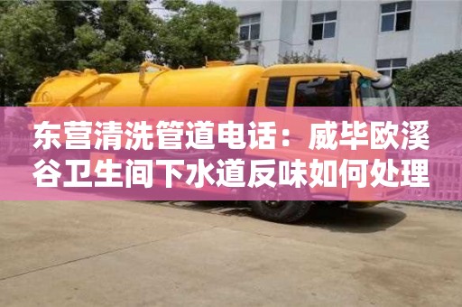 唐山東營清洗管道電話：威畢歐溪谷衛生間下水道反味如何處理