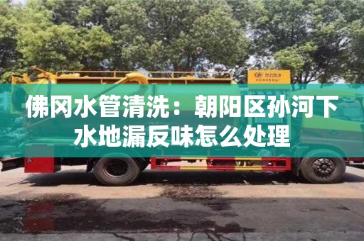 北京佛岡水管清洗：朝陽區孫河下水地漏反味怎么處理