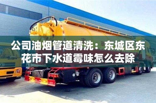長沙公司油煙管道清洗：東城區(qū)東花市下水道霉味怎么去除