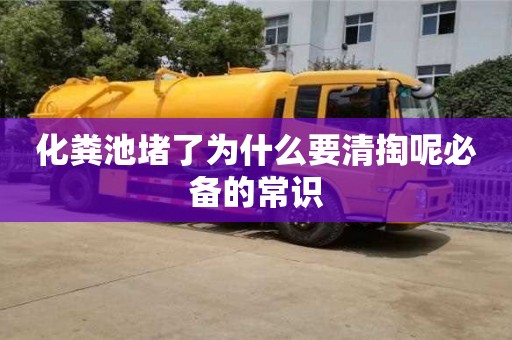 北京化糞池堵了為什么要清掏呢必備的常識