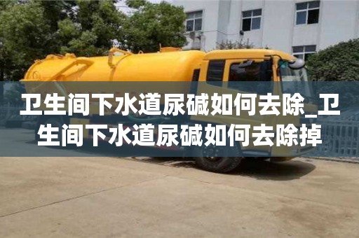 衛生間下水道尿堿如何去除_衛生間下水道尿堿如何去除掉
