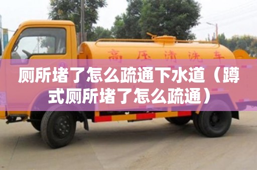 唐山廁所堵了怎么疏通下水道（蹲式廁所堵了怎么疏通）