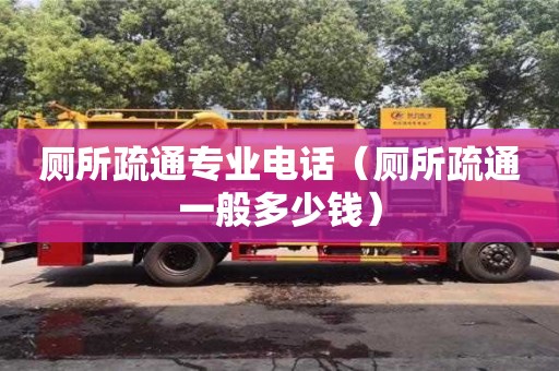 北京廁所疏通專業(yè)電話（廁所疏通一般多少錢）