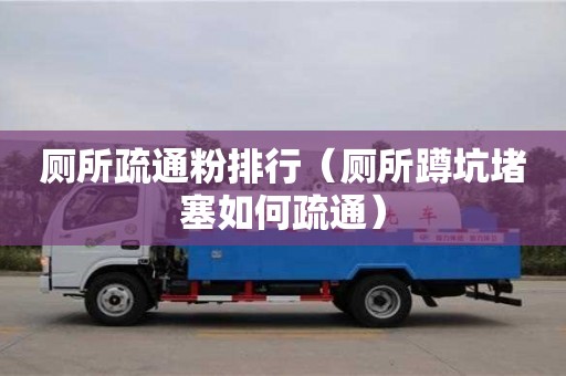 長沙廁所疏通粉排行（廁所蹲坑堵塞如何疏通）