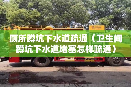 西安廁所蹲坑下水道疏通（衛(wèi)生間蹲坑下水道堵塞怎樣疏通）