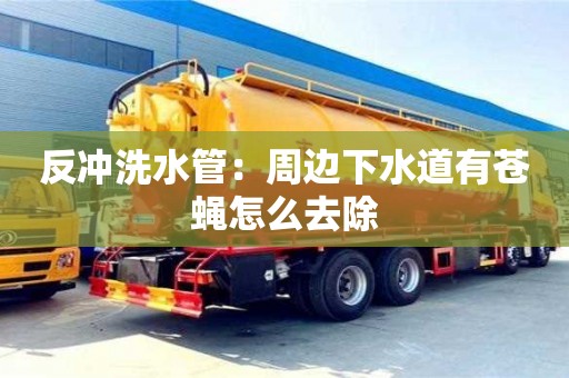 北京反沖洗水管：周邊下水道有蒼蠅怎么去除