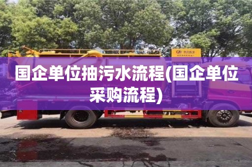 北京國企單位抽污水流程(國企單位采購流程)
