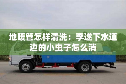 唐山地暖管怎樣清洗：李遂下水道邊的小蟲子怎么消