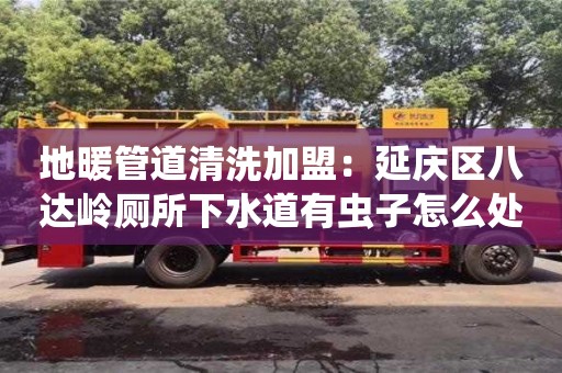 南京地暖管道清洗加盟：延慶區八達嶺廁所下水道有蟲子怎么處理