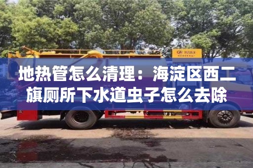 唐山地熱管怎么清理：海淀區西二旗廁所下水道蟲子怎么去除
