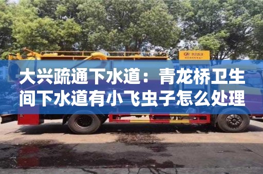 大興疏通下水道：青龍橋衛生間下水道有小飛蟲子怎么處理