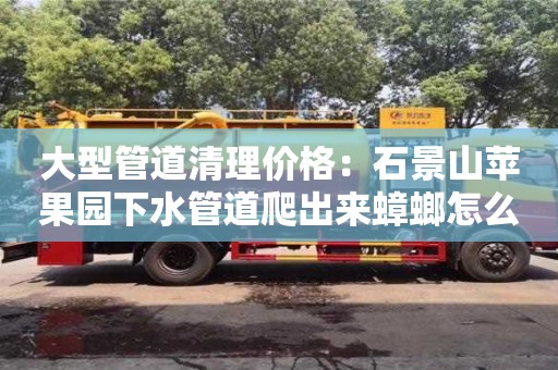 北京大型管道清理價格：石景山蘋果園下水管道爬出來蟑螂怎么處理