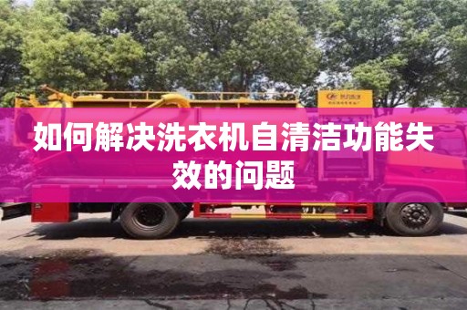 南京如何解決洗衣機自清潔功能失效的問題