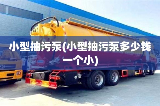 廈門小型抽污泵(小型抽污泵多少錢一個小)