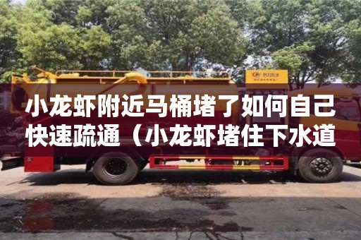 小龍蝦附近馬桶堵了如何自己快速疏通（小龍蝦堵住下水道怎么辦）