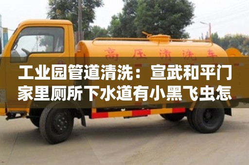 北京工業園管道清洗：宣武和平門家里廁所下水道有小黑飛蟲怎么處理