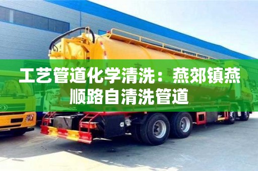 南京工藝管道化學清洗：燕郊鎮燕順路自清洗管道