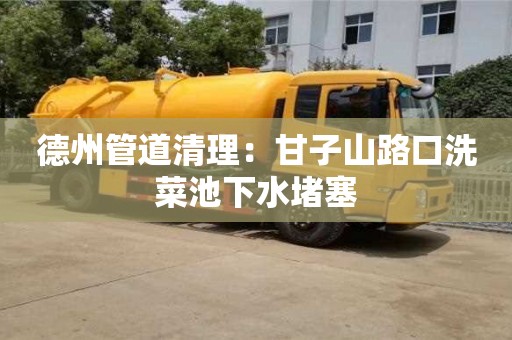 北京德州管道清理：甘子山路口洗菜池下水堵塞