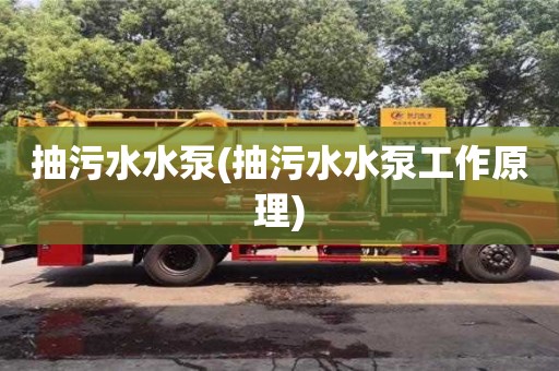 北京抽污水水泵(抽污水水泵工作原理)