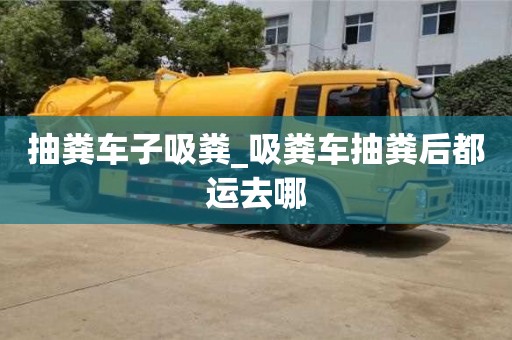 抽糞車子吸糞_吸糞車抽糞后都運(yùn)去哪