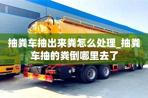抽糞車抽出來糞怎么處理_抽糞車抽的糞倒哪里去了