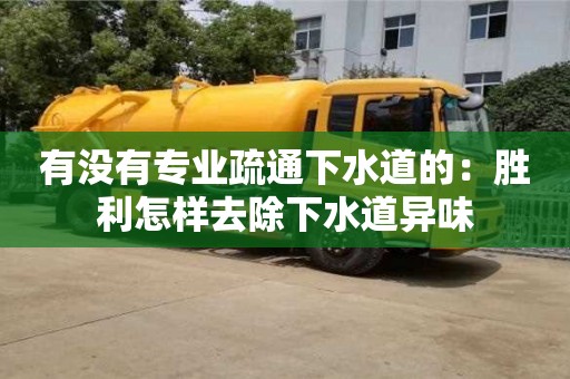長(zhǎng)沙有沒(méi)有專業(yè)疏通下水道的：勝利怎樣去除下水道異味