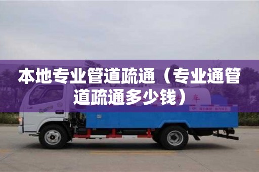 北京本地專業管道疏通（專業通管道疏通多少錢）