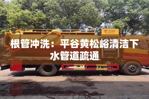 北京根管沖洗：平谷黃松峪清潔下水管道疏通