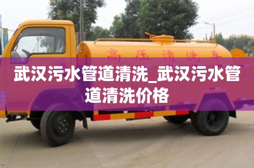 唐山武漢污水管道清洗_武漢污水管道清洗價格