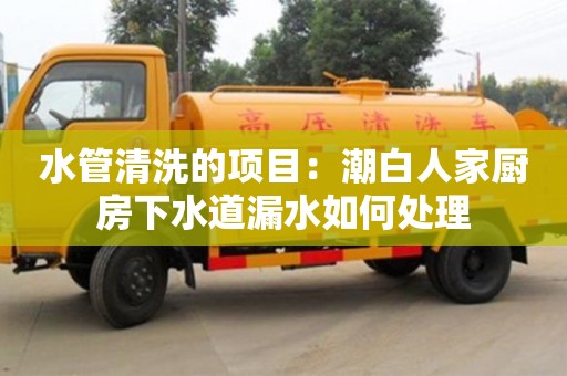 唐山水管清洗的項(xiàng)目：潮白人家廚房下水道漏水如何處理