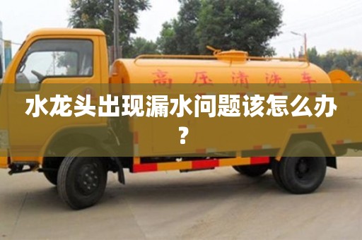 水龍頭出現漏水問題該怎么辦? 水龍頭出現漏水問題該怎么辦?