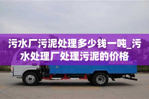 上海污水廠污泥處理多少錢一噸_污水處理廠處理污泥的價格