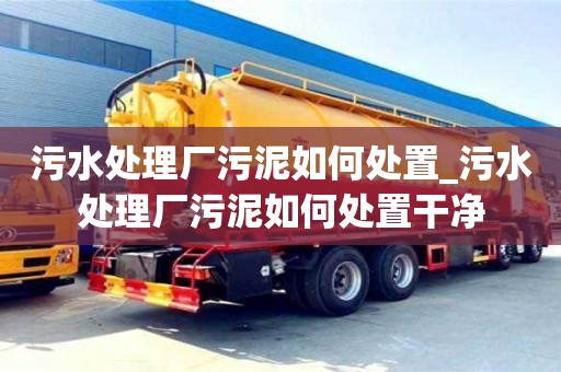 唐山污水處理廠污泥如何處置_污水處理廠污泥如何處置干凈