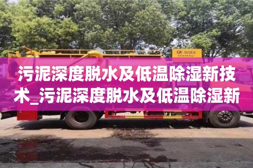 長沙污泥深度脫水及低溫除濕新技術_污泥深度脫水及低溫除濕新技術是什么