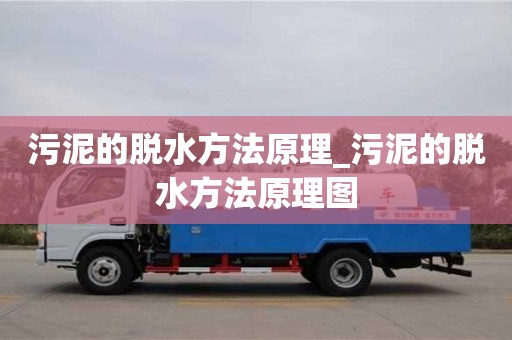 唐山污泥的脫水方法原理_污泥的脫水方法原理圖