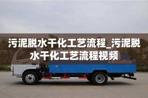 污泥脫水干化工藝流程_污泥脫水干化工藝流程視頻