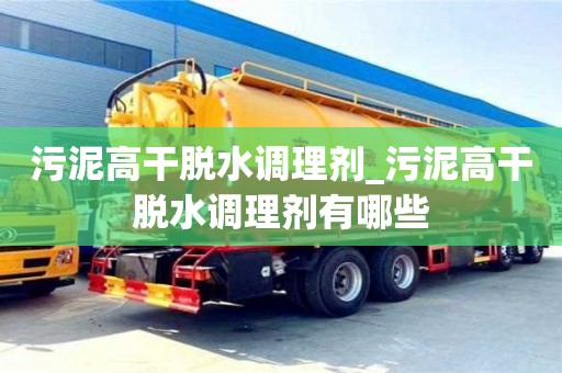 污泥高干脫水調理劑_污泥高干脫水調理劑有哪些 污泥高干脫水調理劑_污泥高干脫水調理劑有哪些