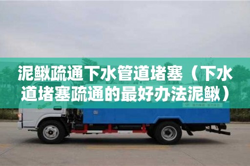泥鰍疏通下水管道堵塞（下水道堵塞疏通的最好辦法泥鰍）