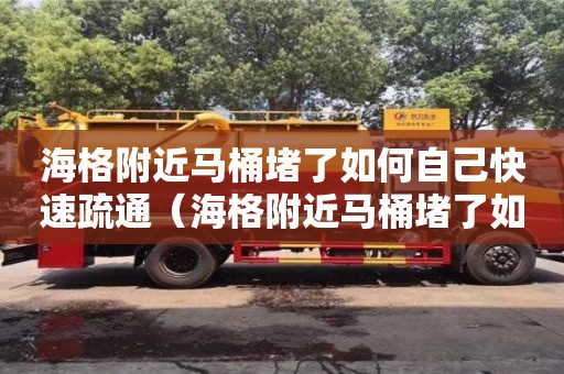 海格附近馬桶堵了如何自己快速疏通（海格附近馬桶堵了如何自己快速疏通下水）