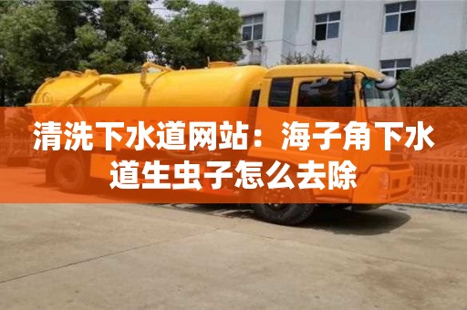 北京清洗下水道網(wǎng)站：海子角下水道生蟲子怎么去除
