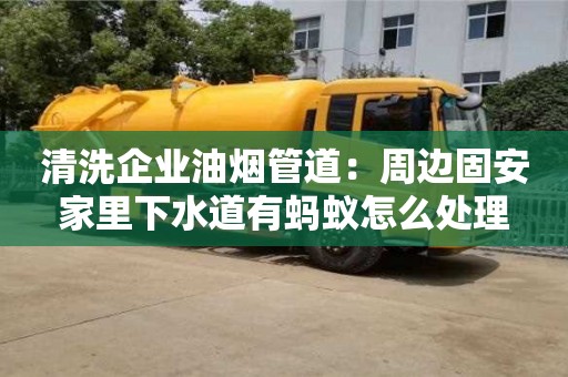 北京清洗企業油煙管道：周邊固安家里下水道有螞蟻怎么處理